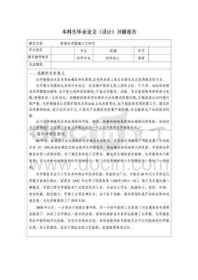 化工工艺研发报告模板-第1张图片-马瑞范文网