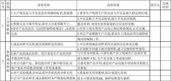 质量持续改善计划模板-第2张图片-马瑞范文网