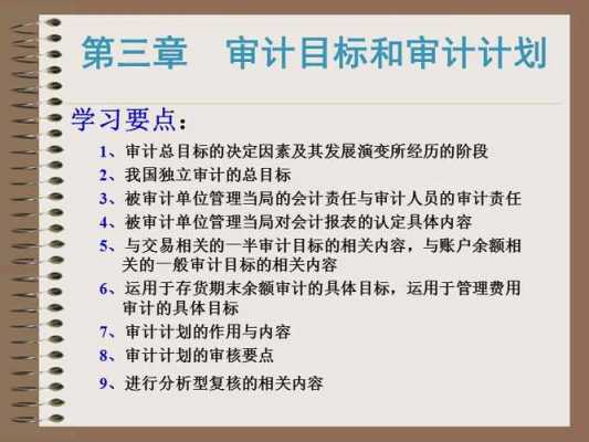 项目审计目标-审计项目计划方案模板-第2张图片-马瑞范文网