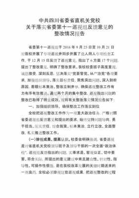 巡视反馈方案模板_巡视反馈情况报告-第3张图片-马瑞范文网