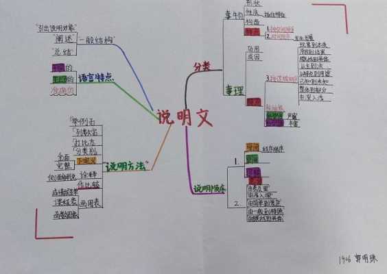 说明文关系模板图-第2张图片-马瑞范文网