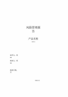 产品风险分析报告模板（产品风险及应对措施）-第3张图片-马瑞范文网