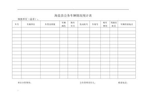 政府公务车辆台账模板（公务用车台账）-第2张图片-马瑞范文网