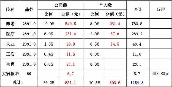 2017社保扣款明细模板_2020社保明细扣费-第1张图片-马瑞范文网