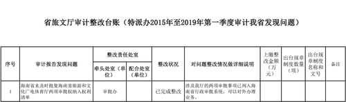 审计台账怎么做-审计系统台账模板-第3张图片-马瑞范文网