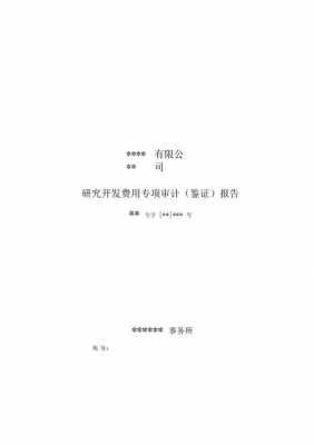 研发费用审计报告模板_研发费用审计报告模板范文-第1张图片-马瑞范文网