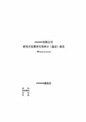 研发费用审计报告模板_研发费用审计报告模板范文-第2张图片-马瑞范文网