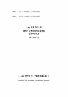 研发费用审计报告模板_研发费用审计报告模板范文-第3张图片-马瑞范文网