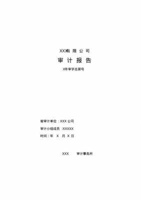  上市公司内部审计报告模板「上市公司 内部审计」-第2张图片-马瑞范文网