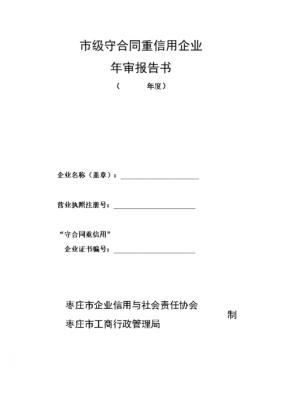 最新企业年审报告模板_企业年审报告样板-第3张图片-马瑞范文网