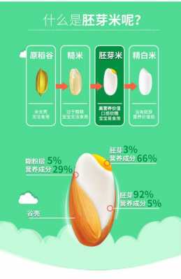 大米评议表模板（大米怎么写评语）-第2张图片-马瑞范文网