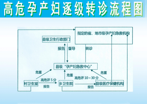 高危产妇转诊说明-第1张图片-马瑞范文网