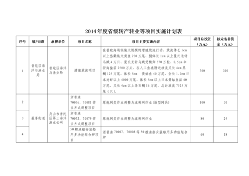 实施计划模板（实施计划表）-第2张图片-马瑞范文网