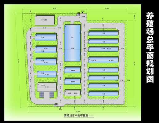 养殖场的规划-第3张图片-马瑞范文网