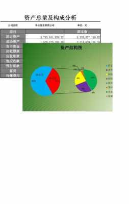 资产构成图表 资产构成情况模板-第1张图片-马瑞范文网