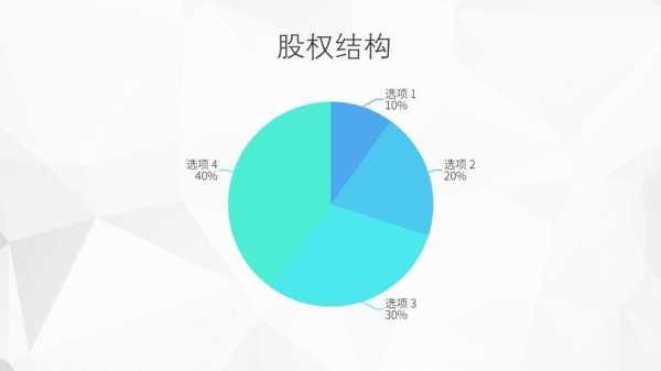 出资比例股权比例 出资股份范文模板-第3张图片-马瑞范文网