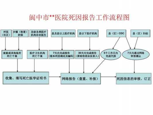 死因监测分析报告模板_死因监测报告流程图-第1张图片-马瑞范文网