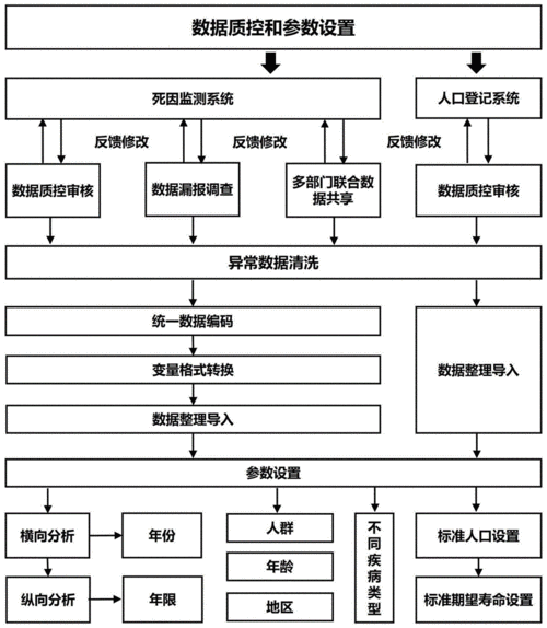 死因监测分析报告模板_死因监测报告流程图-第3张图片-马瑞范文网