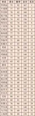 初中班级成绩单表格-第2张图片-马瑞范文网