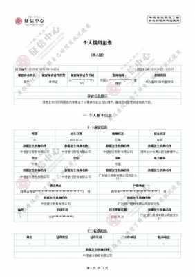 最新个人信用报告模板（最新个人信用报告模板图片）-第2张图片-马瑞范文网