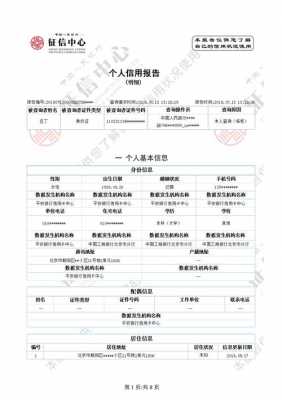 最新个人信用报告模板（最新个人信用报告模板图片）-第1张图片-马瑞范文网