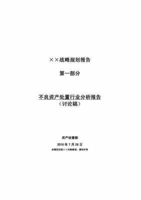 不良资产行业报告-不良资产业务分析模板-第1张图片-马瑞范文网