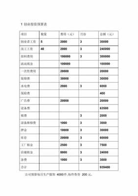 创业启动资金预算模板_创业启动资金预测包括什么-第1张图片-马瑞范文网