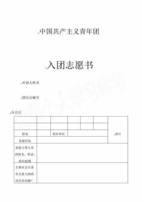 大学生入团志愿书模板_大学生入团志愿书模板1000字-第2张图片-马瑞范文网