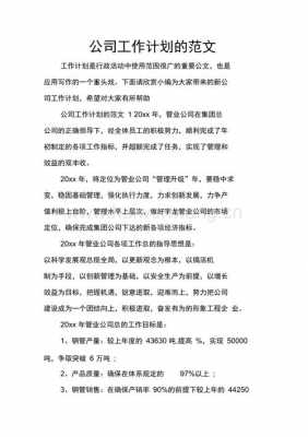 业务工作方案怎么写范文 业务方案策划模板-第3张图片-马瑞范文网