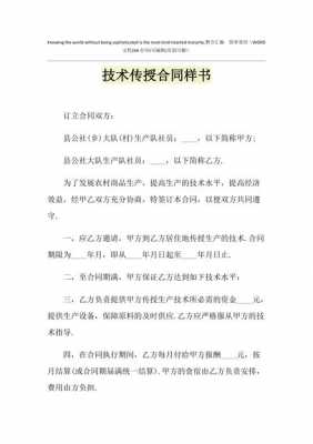 技术传授合同模板（技术传授方面的总结）-第2张图片-马瑞范文网