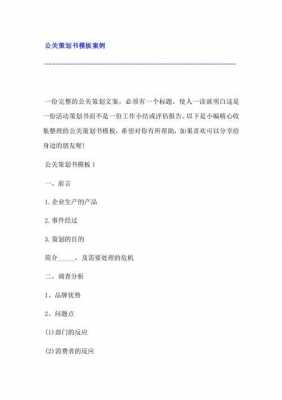 公关策划分析-公关企划分析模板-第3张图片-马瑞范文网