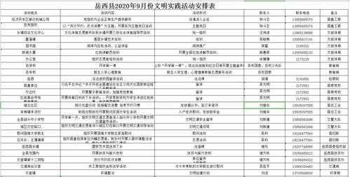 实践安排概况模板,实践安排概况怎么写 -第3张图片-马瑞范文网