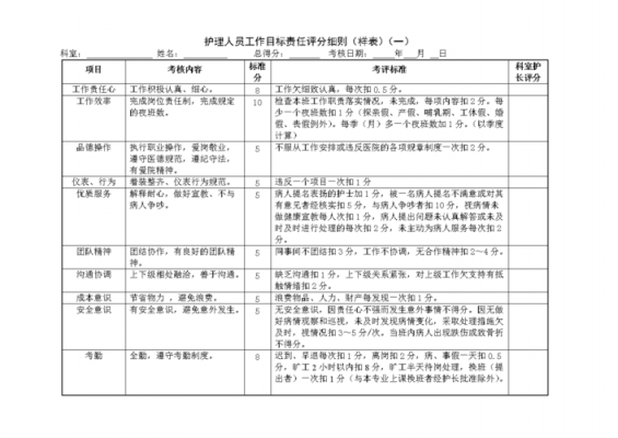 护士工作质量考核要求 责任护士质量考核模板-第2张图片-马瑞范文网