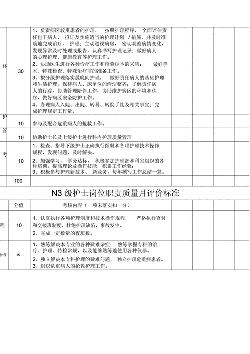 护士工作质量考核要求 责任护士质量考核模板-第3张图片-马瑞范文网