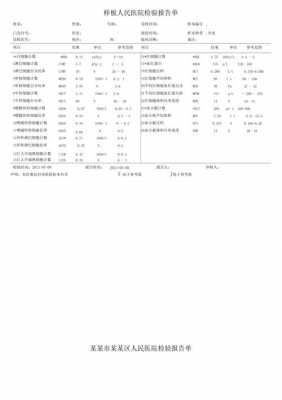 医院报告模板（医院报告格式）-第1张图片-马瑞范文网