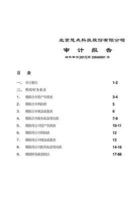 审计报告贴花模板_审计报告贴花模板图片-第3张图片-马瑞范文网