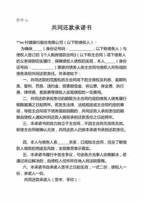 共同还贷声明怎么写 共同还贷声明模板-第3张图片-马瑞范文网