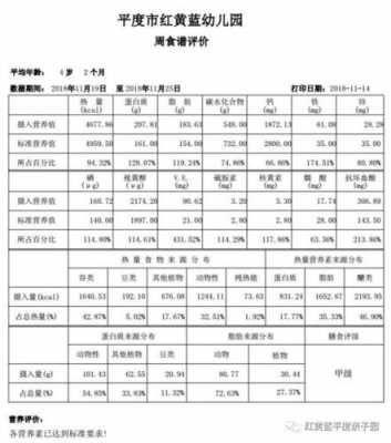 营养膳食建议模板（营养膳食建议模板怎么写）-第2张图片-马瑞范文网