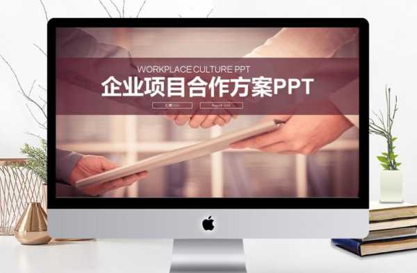 两方合作的ppt模板_合作方案ppt怎么写-第3张图片-马瑞范文网