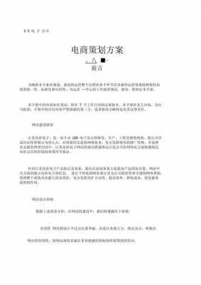 电商活动方案怎么写 电商产品活动策划方案模板-第2张图片-马瑞范文网