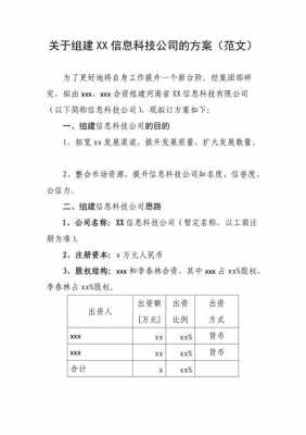 组建公司工作方案模板-第2张图片-马瑞范文网