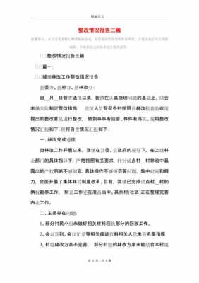 整改报告的内容及形式-整改报告模板目的-第2张图片-马瑞范文网