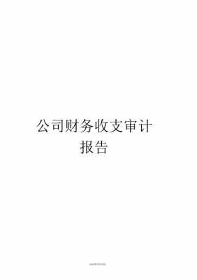 账务收支审计报告模板图片 账务收支审计报告模板-第3张图片-马瑞范文网