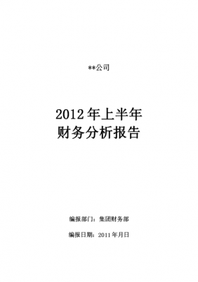 上半年财务报告总结-上半年财务报告模板-第2张图片-马瑞范文网