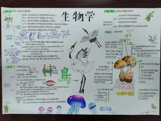 生物八年级手抄报图片简单又漂亮-生物手抄报八年级上册模板-第2张图片-马瑞范文网