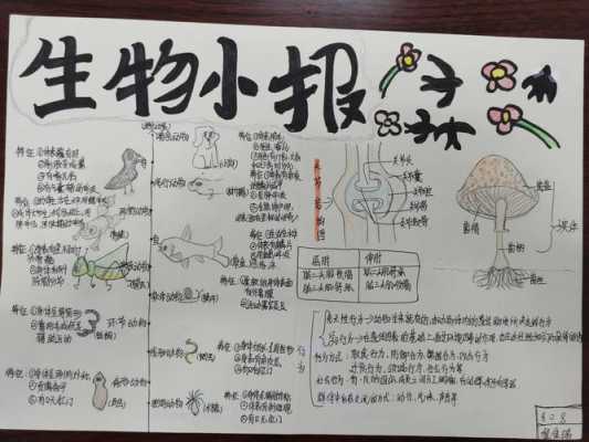 生物八年级手抄报图片简单又漂亮-生物手抄报八年级上册模板-第1张图片-马瑞范文网