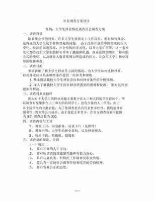 社会调研方案模板范文-社会调研方案设计模板-第2张图片-马瑞范文网