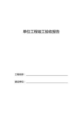 项目文字验收报告模板,项目验收报告内容 -第2张图片-马瑞范文网