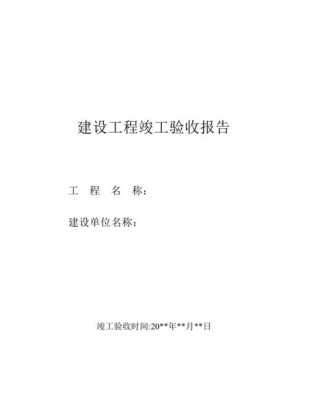 项目文字验收报告模板,项目验收报告内容 -第3张图片-马瑞范文网