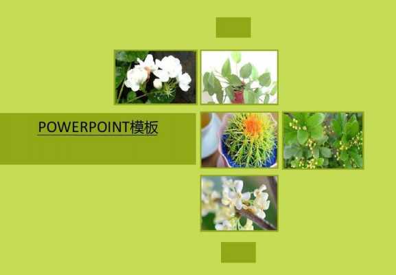 植物ppt素材-第1张图片-马瑞范文网